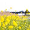 大学入学式用のスーツを買う